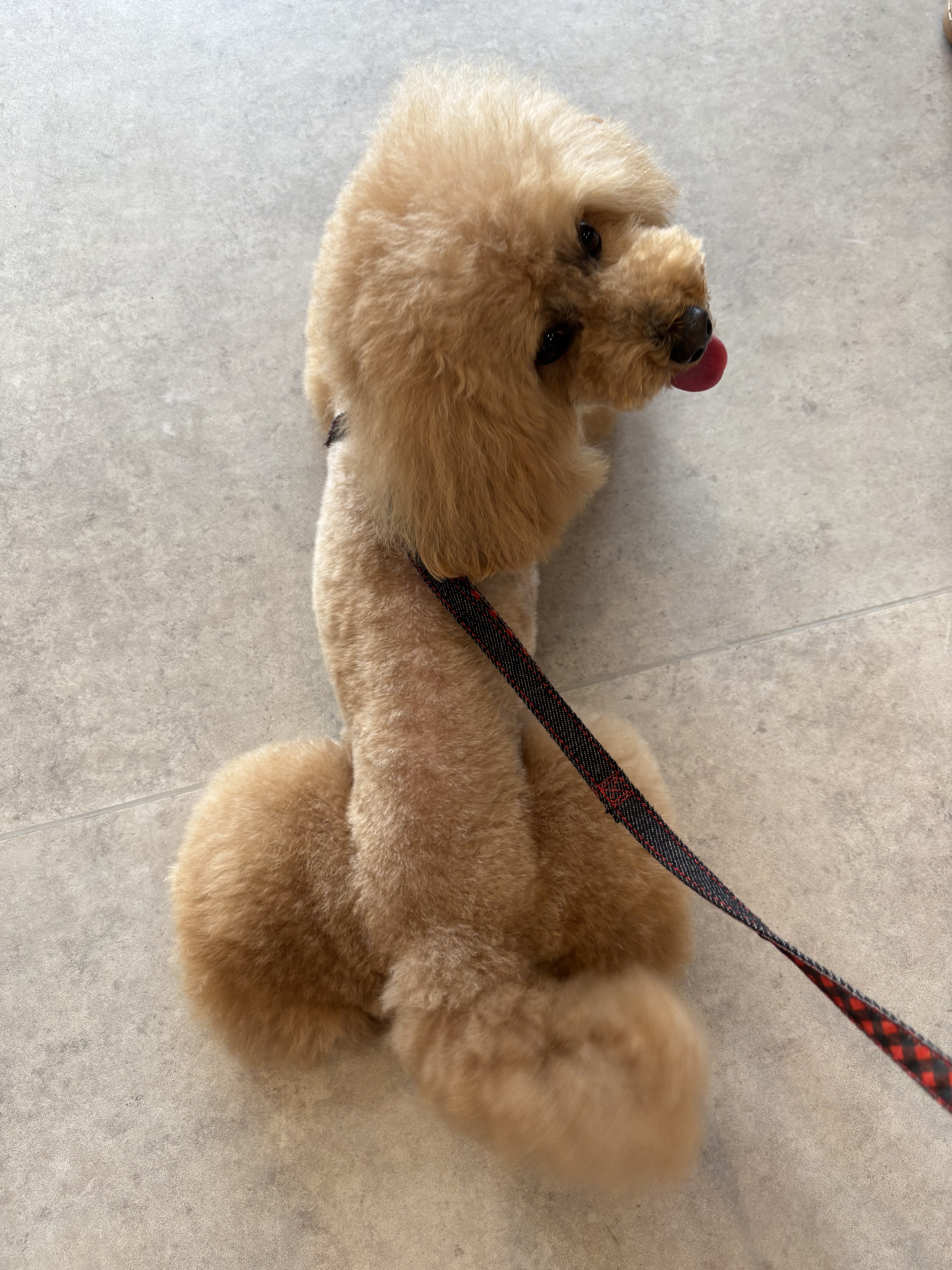 年末年始受付しております。