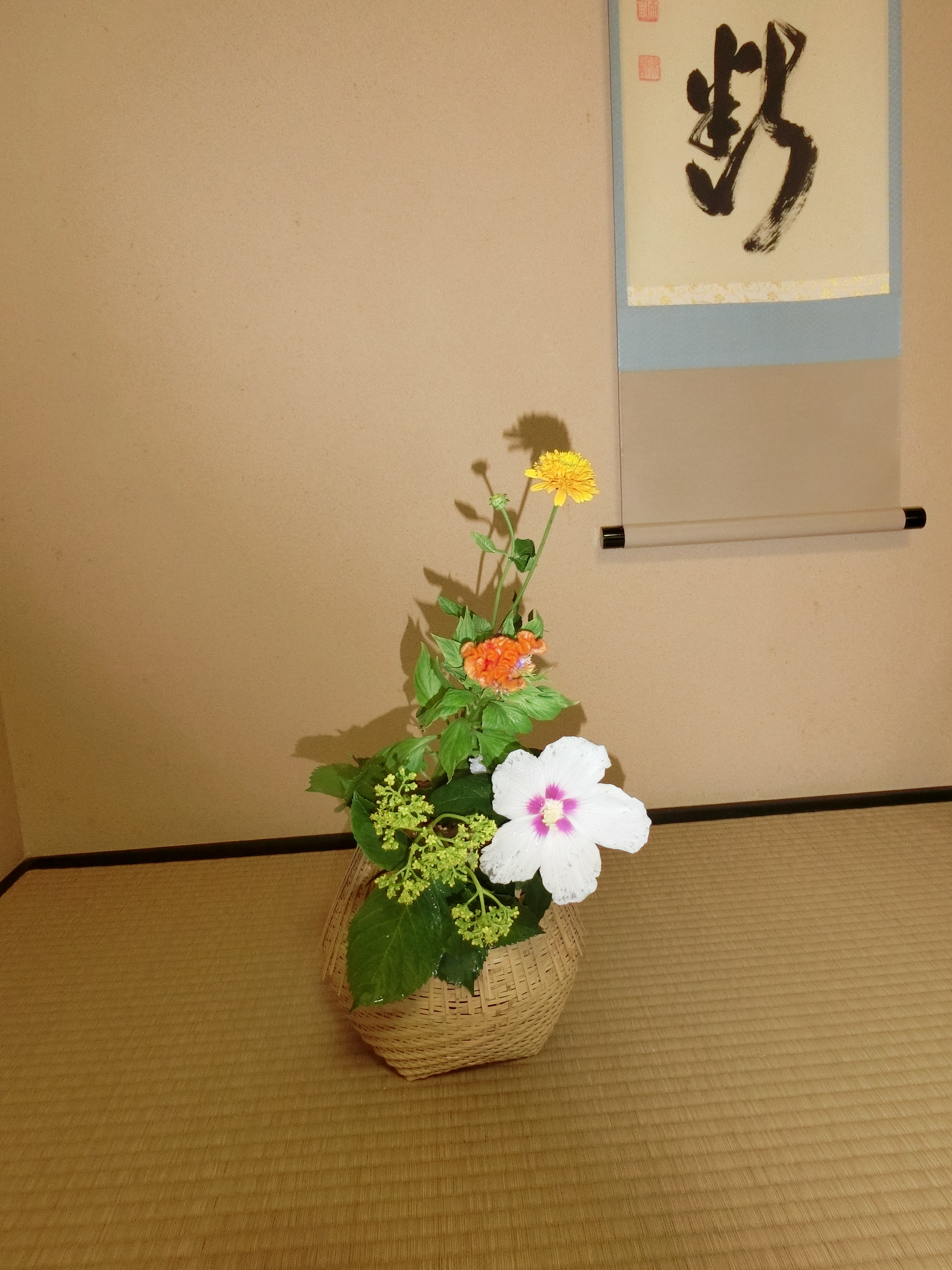 夏の茶花.JPG
