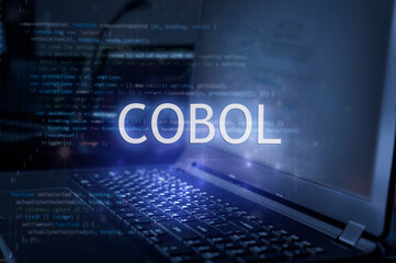 【札幌】COBOL 生活インフラ会社DX化構築案件 2022/04下旬 or 05～長期