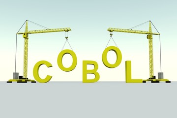 【札幌】50万円 COBOL 生保系保守開発 2022年10月～長期