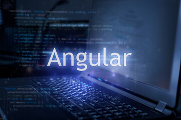 【札幌】55～60万円 Angularコンポーネント指向UI開発 即時～2024/09