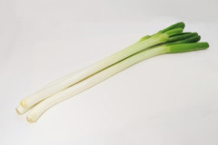 23147415_s.jpg