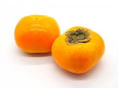 22645281_s.jpg