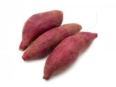 22926615_s.jpg