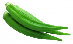 24662847_s.jpg