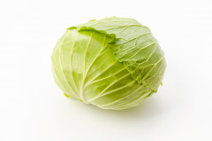 4890108_s.jpg