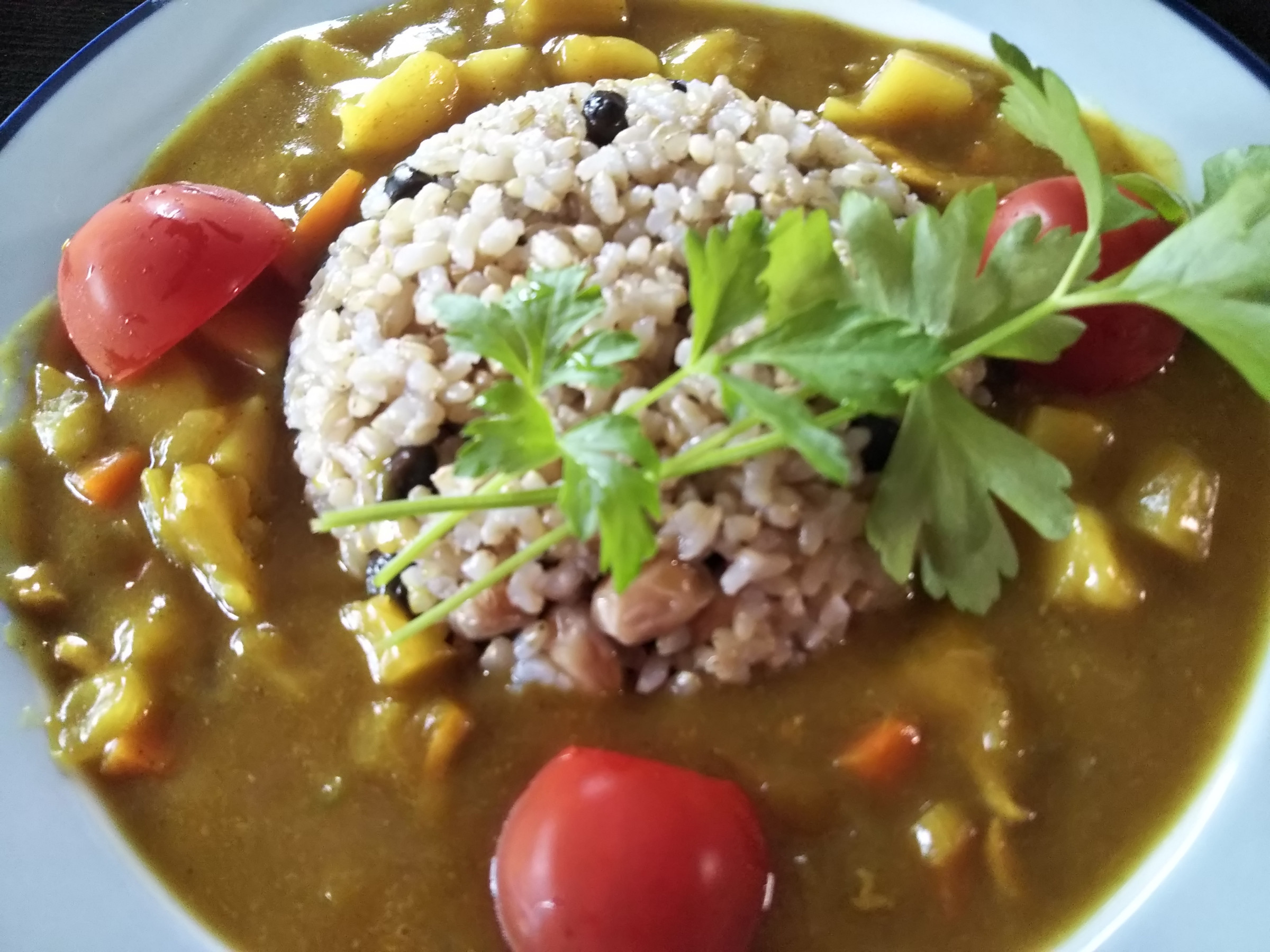 vegetable(vegan) Curry-germinated(brownRice&amp;kurosengoku/missNisekoSoybeans) 