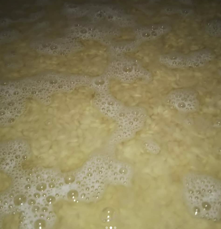 発酵 発芽玄米の命の息吹