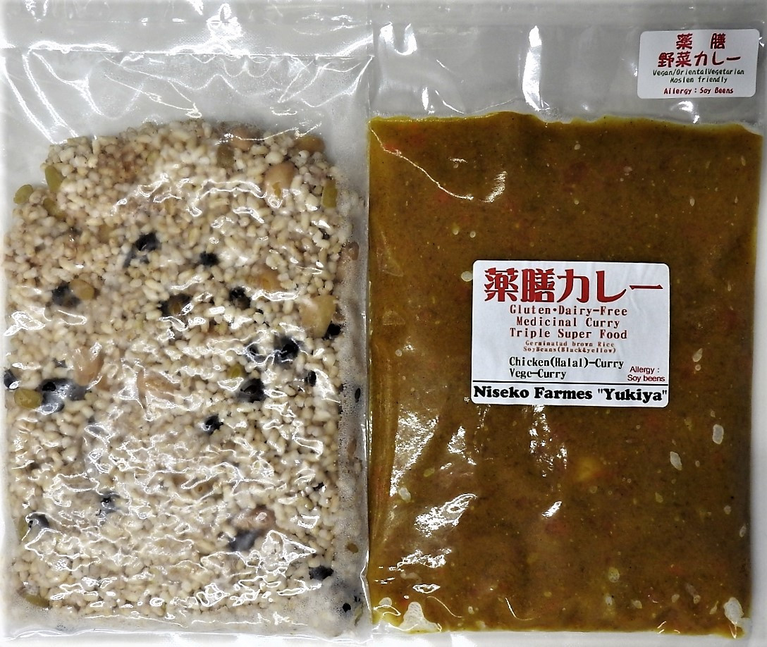 薬膳カレー(野菜OrientalVegan).JPG
