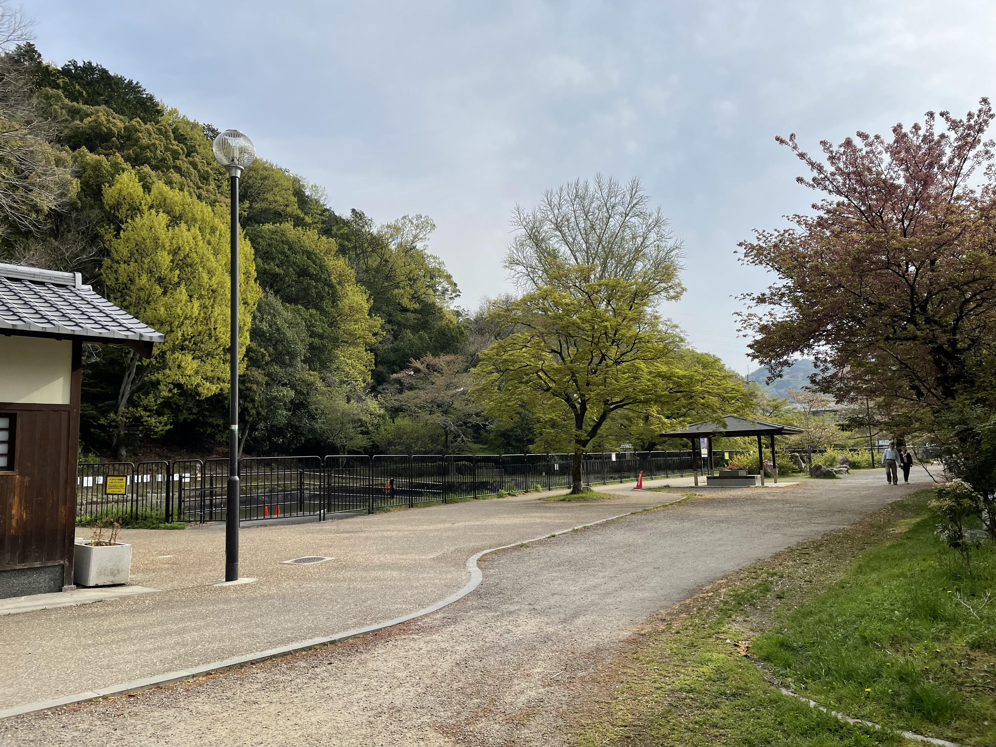 お散歩日和