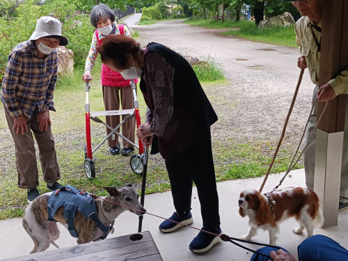5.12散歩（遠藤・畑中・横山・チョコちゃん）.jpg