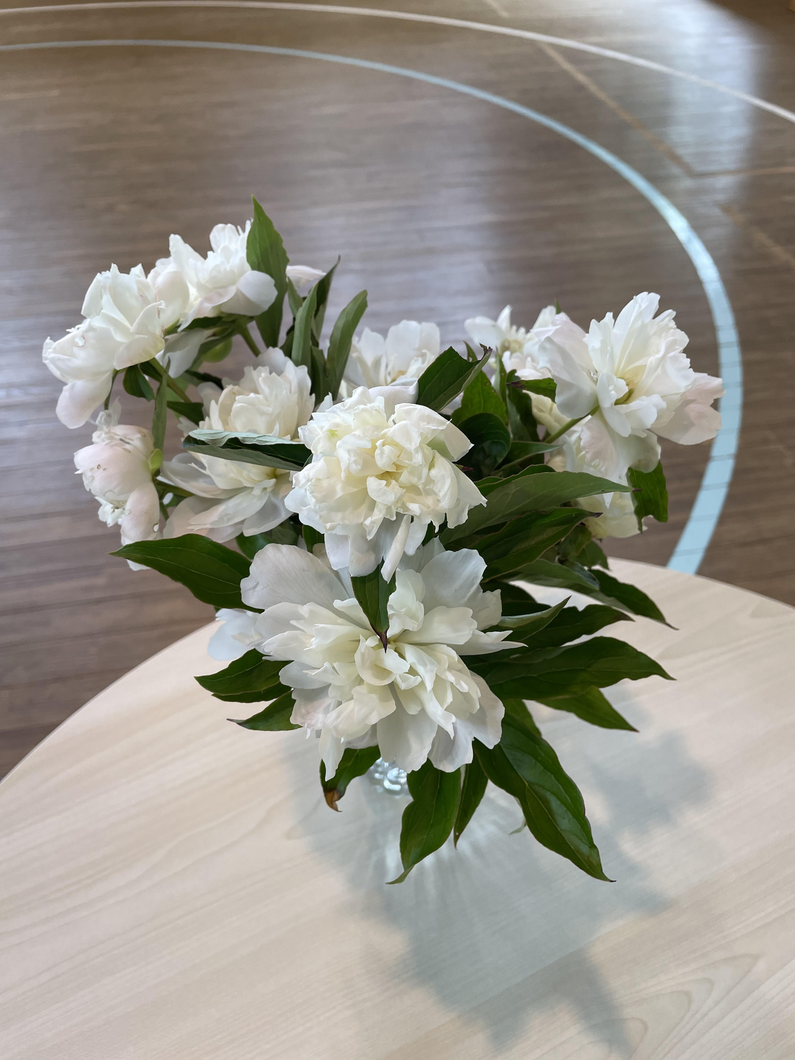 芍薬の花