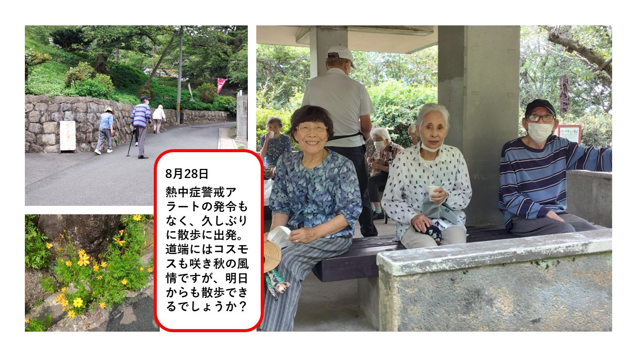 8月28日久しぶりのお散歩です