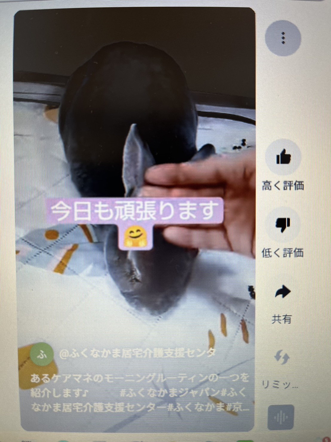 S__120381443.jpg