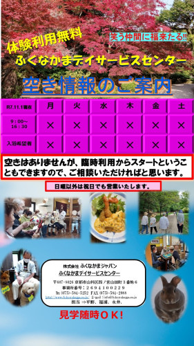 デイサービスちらし（空き情報）2025、１１月.jpg