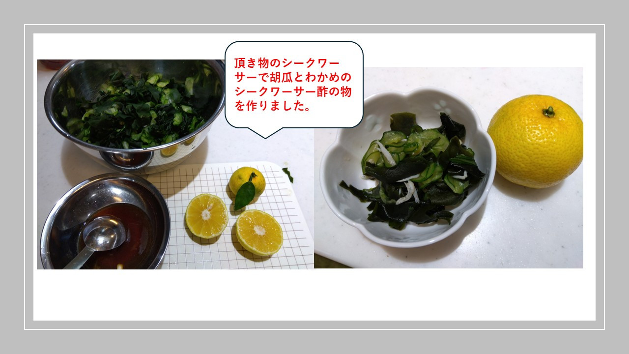 11/5　今日の昼食はシークワーサー酢の物