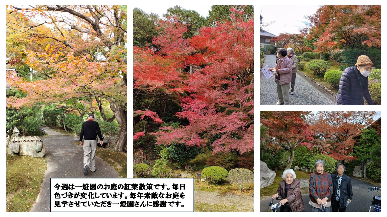 11/19一燈園のお庭の紅葉散策