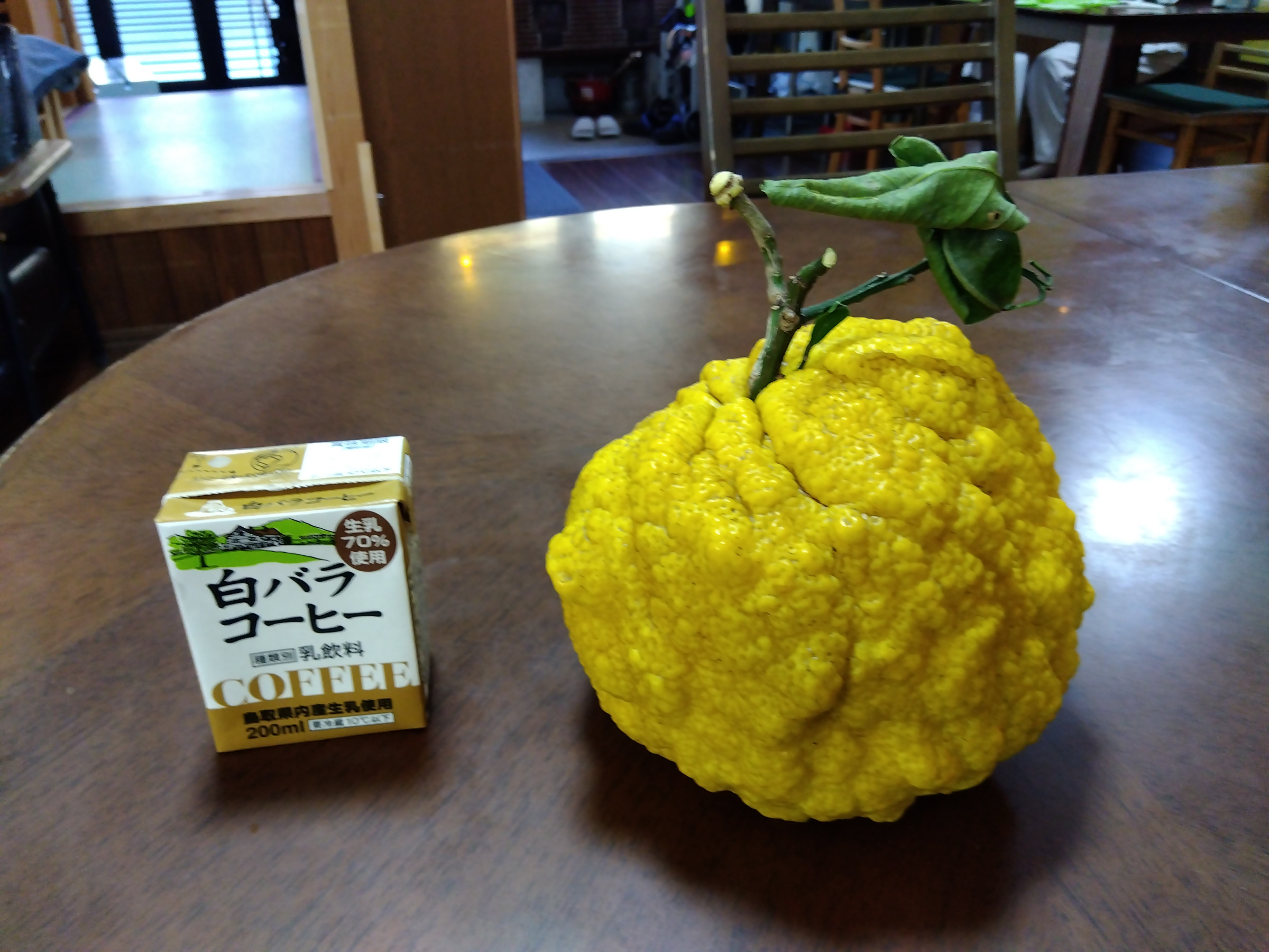 鬼柚子って知ってますか？