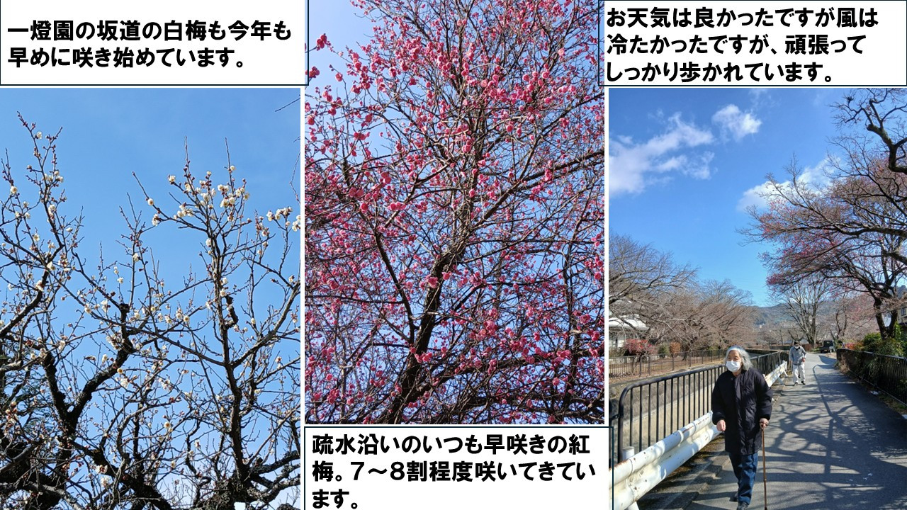 ２月２日　(デイ）今日のお散歩