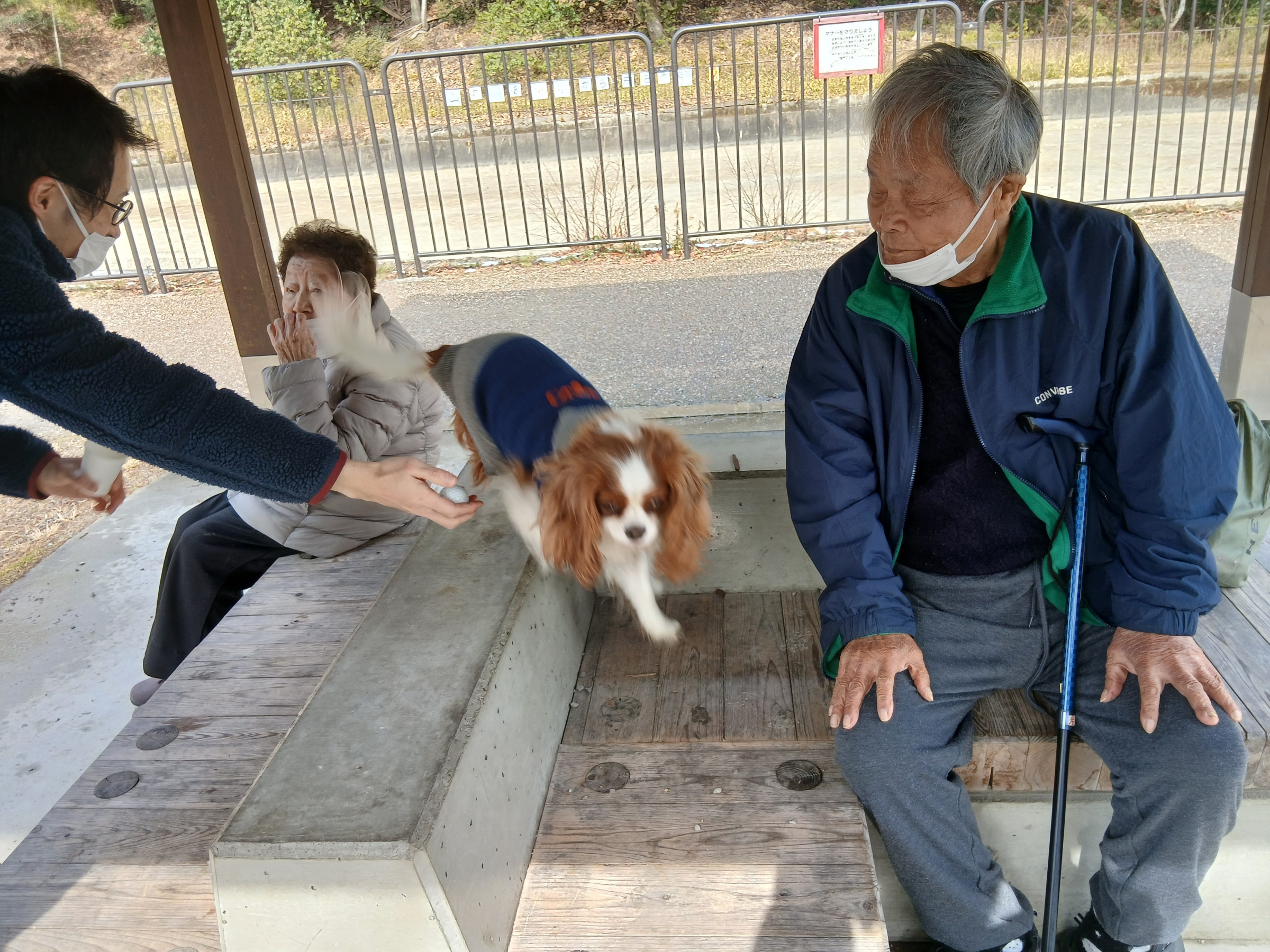 2/10（デイ）久しぶりにチョコちゃんとお散歩一緒になりました。
