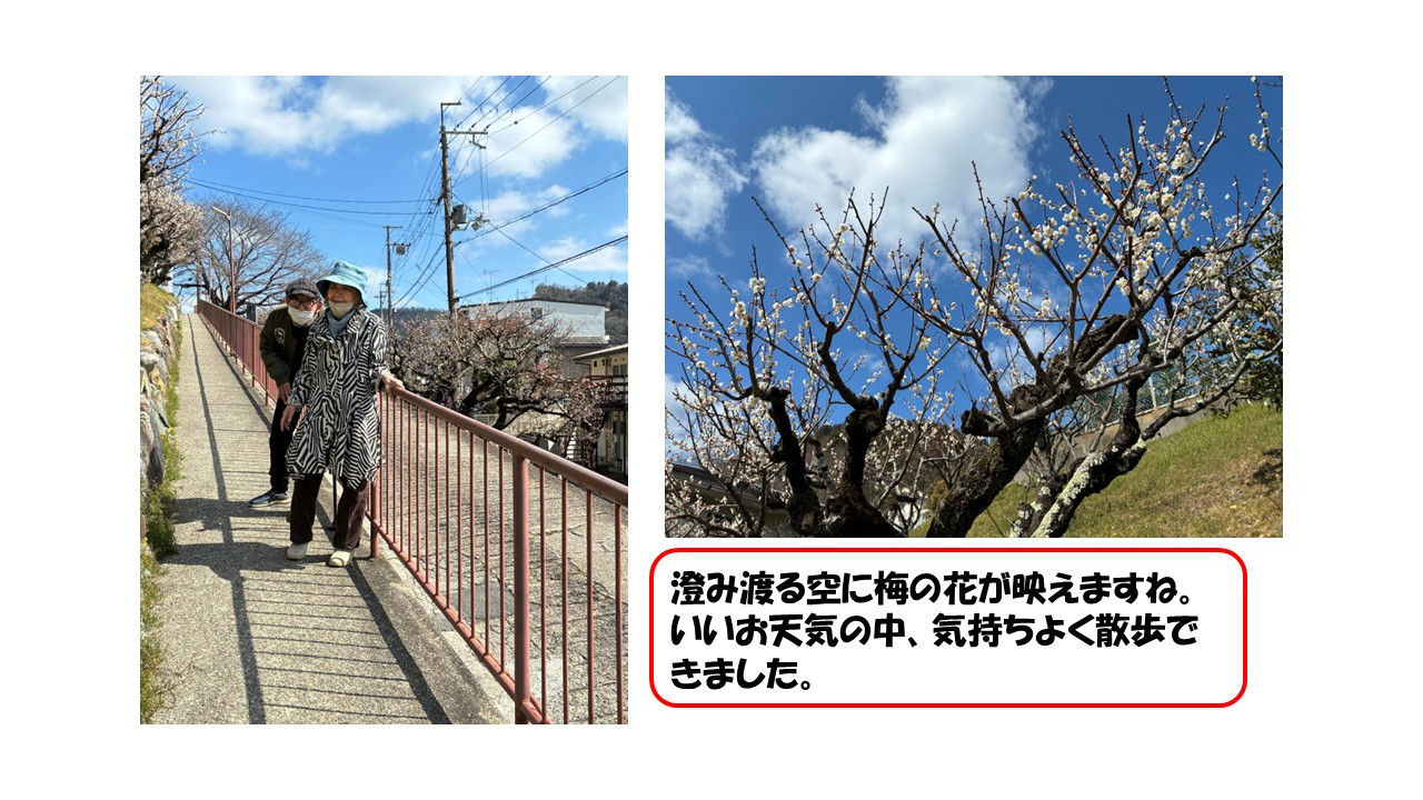 3/11（デイ）　お散歩日和！！