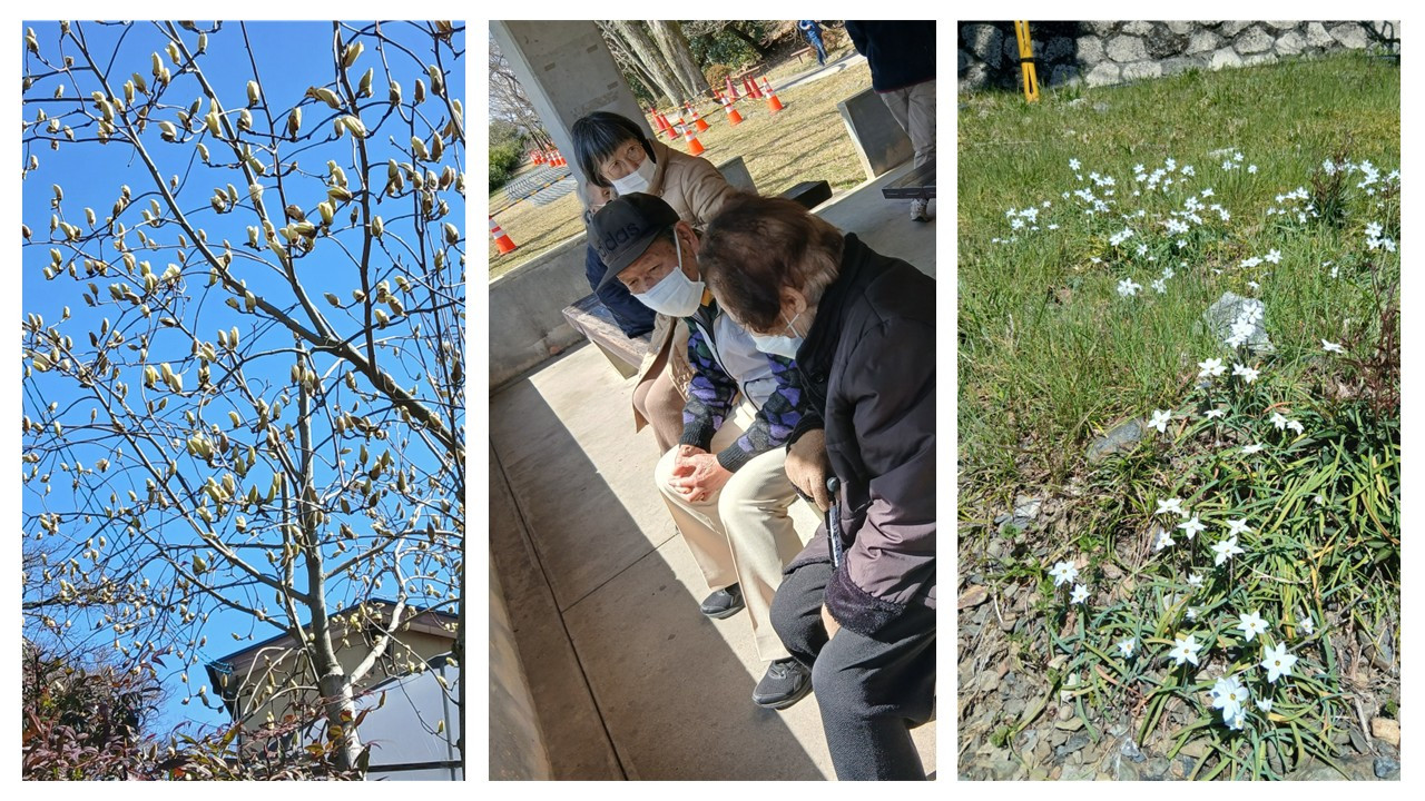 3/14（デイ）春の気配がそこまで来ています。