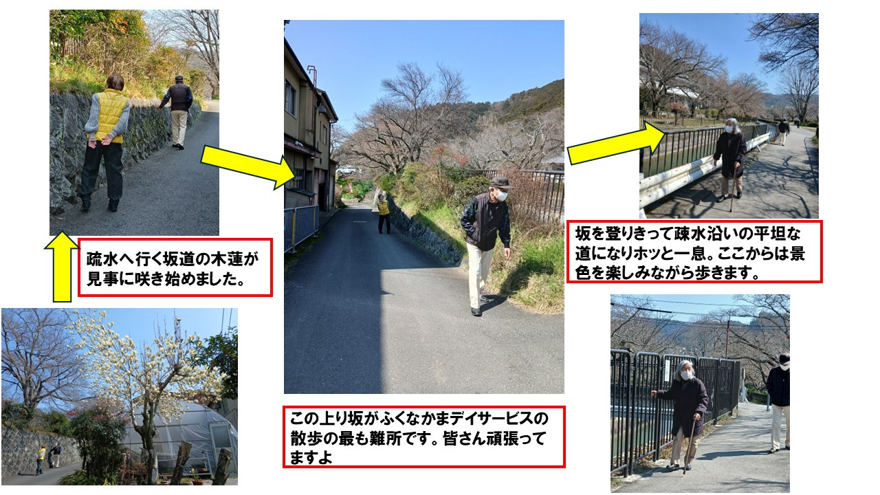 3/21（デイ）　散歩