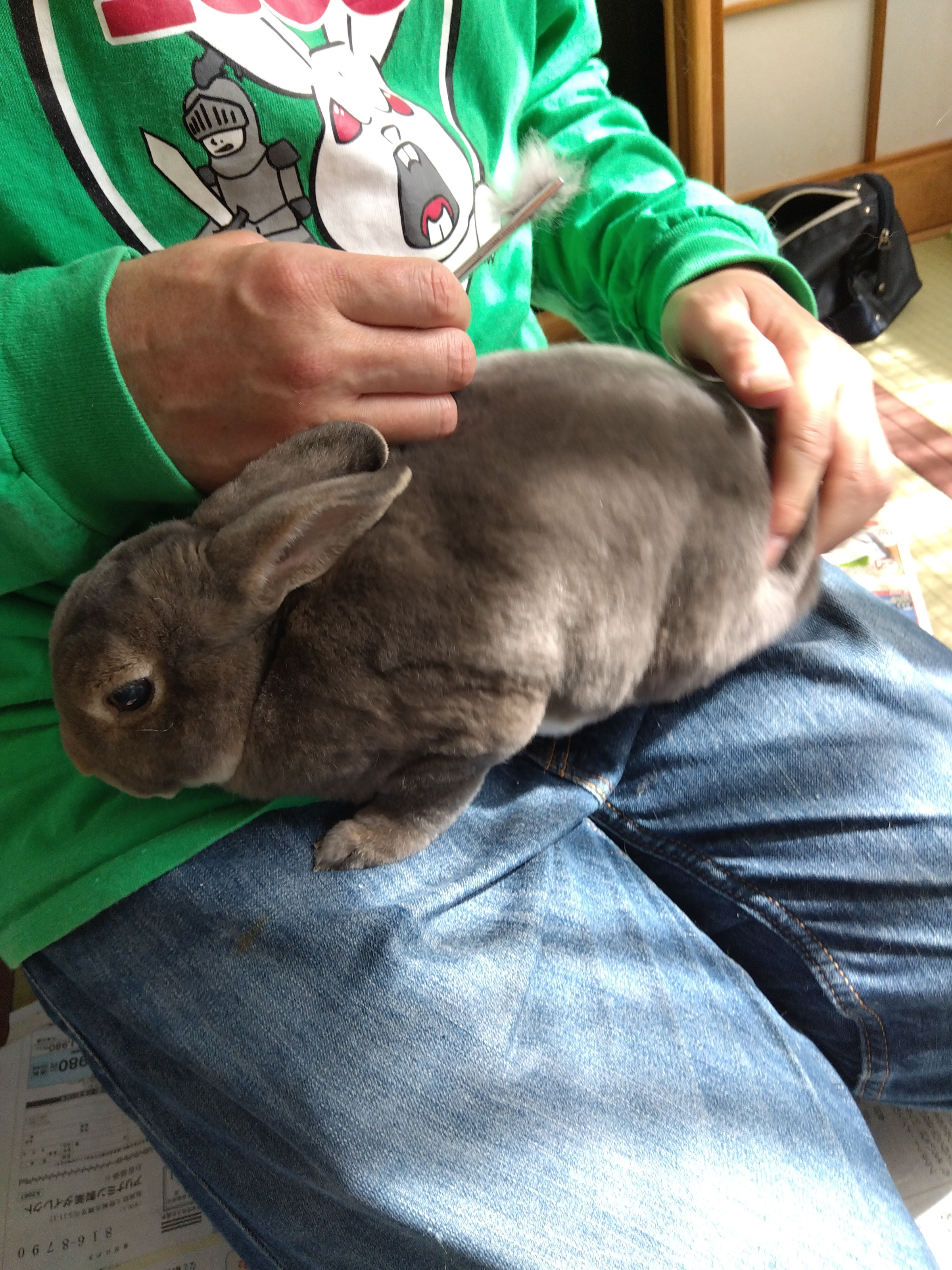 ４/20ふくちゃんのグルーミング