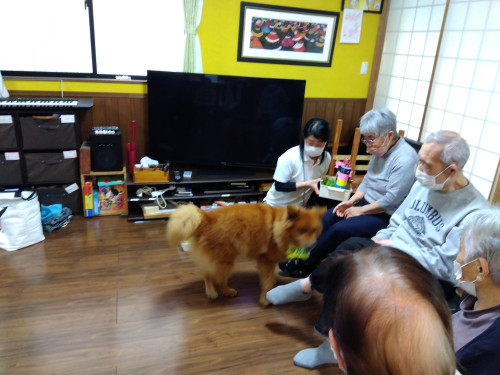 小西さんとまわれ④.jpg