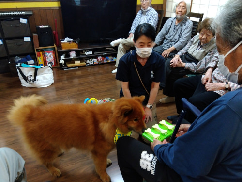 マルル、おやつ当て①.jpg