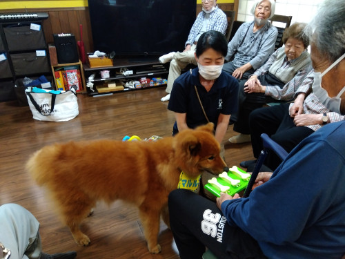マルル、おやつ当て②.jpg