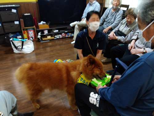 マルル、おやつ当て3.jpg