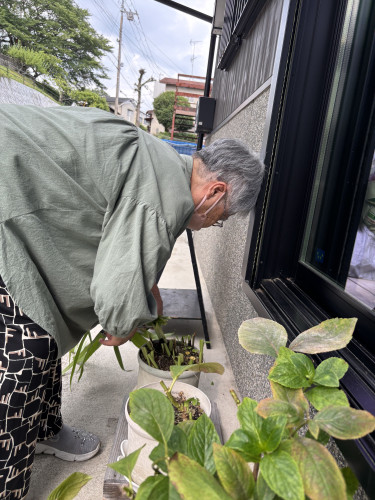 植木③.jpg