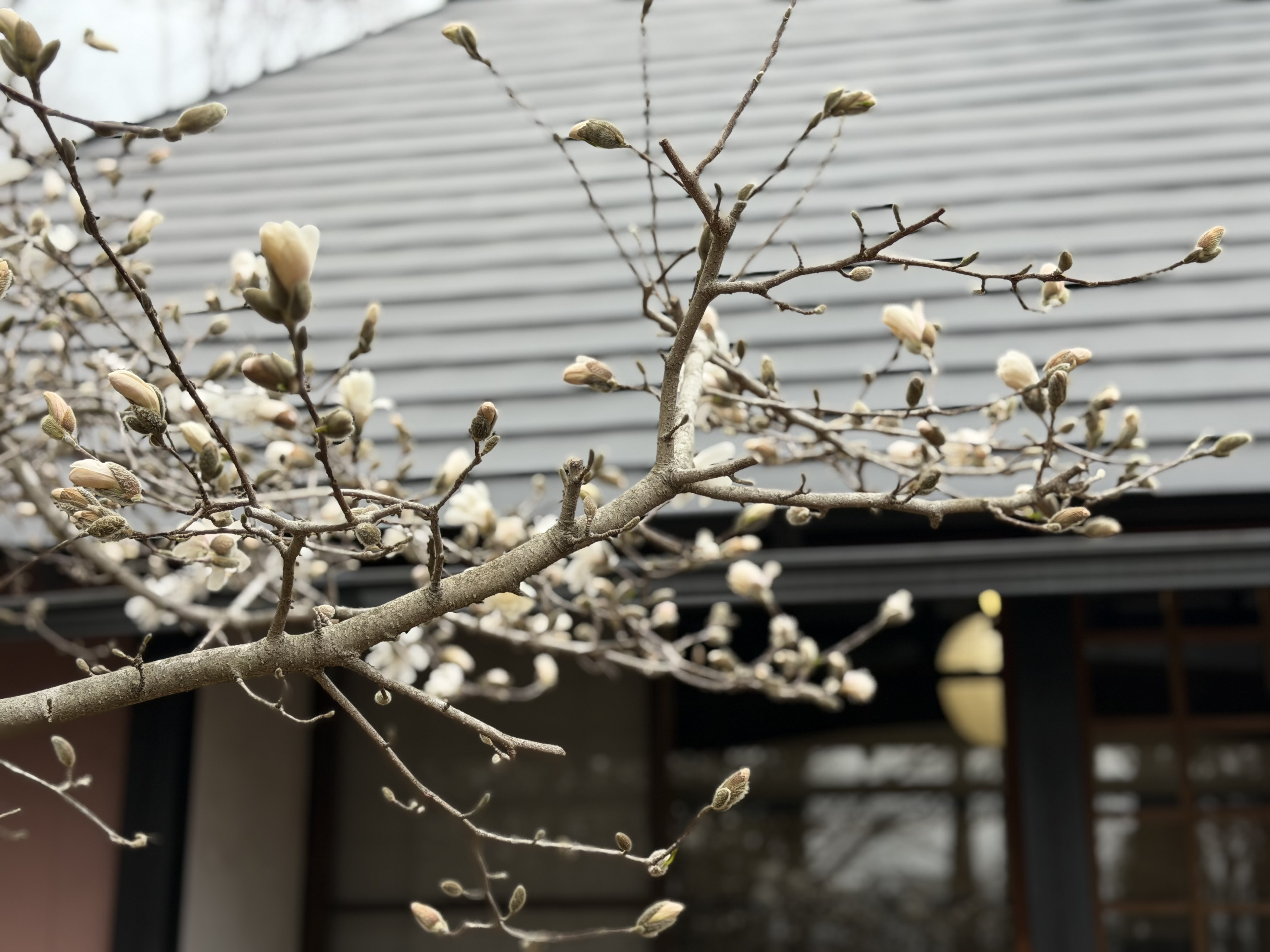 4月以降の営業について