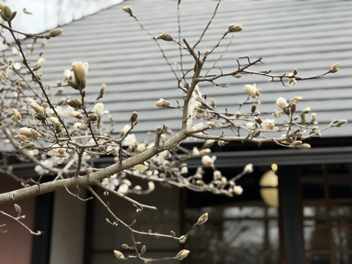 4月以降の営業について