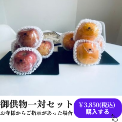 立体型フルーツオードブル (4).png