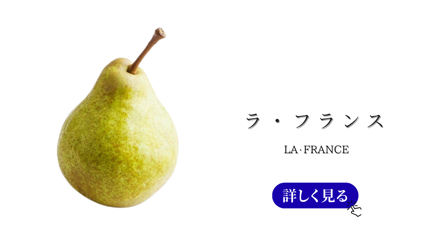 トップ　バナーのコピー (2).png