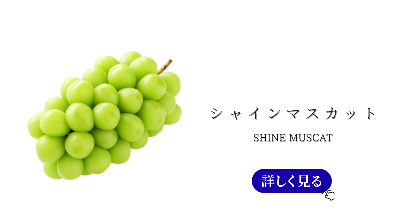 トップ　バナーのコピー (4).png