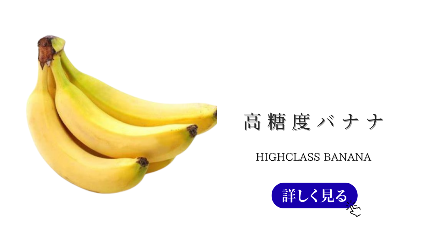 トップ　バナーのコピー (3).png