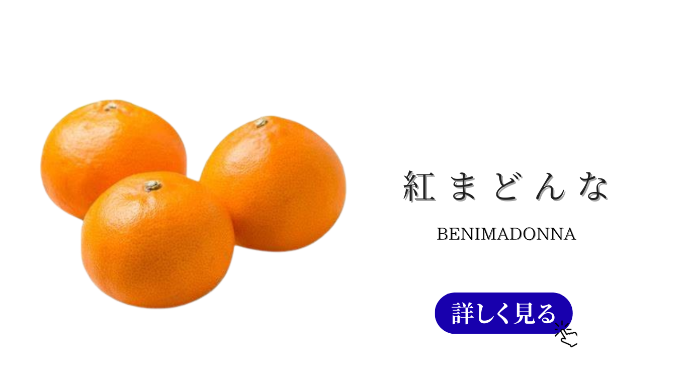 メニュー　バナー (1).png