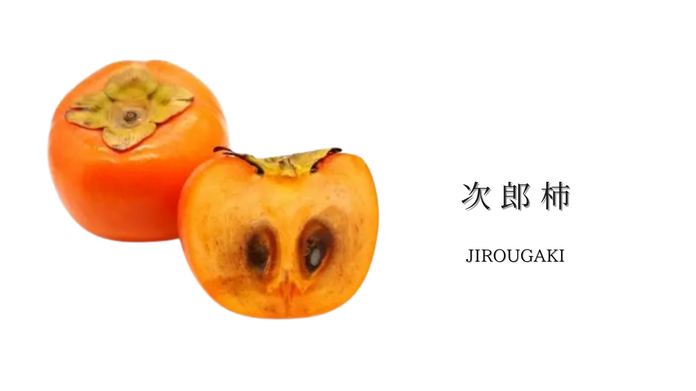 トップ　バナーのコピーのコピー (5).png