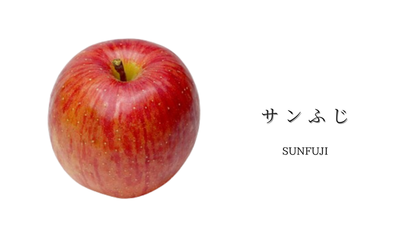 トップ　バナーのコピーのコピー (12).png