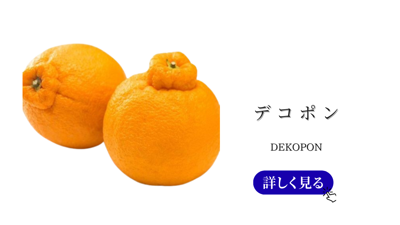 メニュー　バナー (5).png