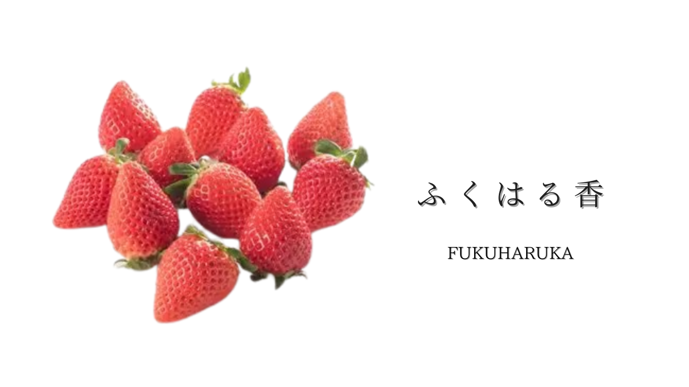 ふくはる香