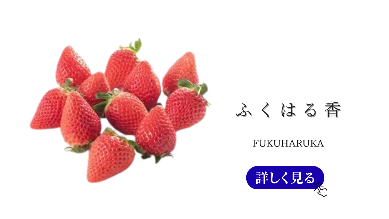 果物ナビ (8).png