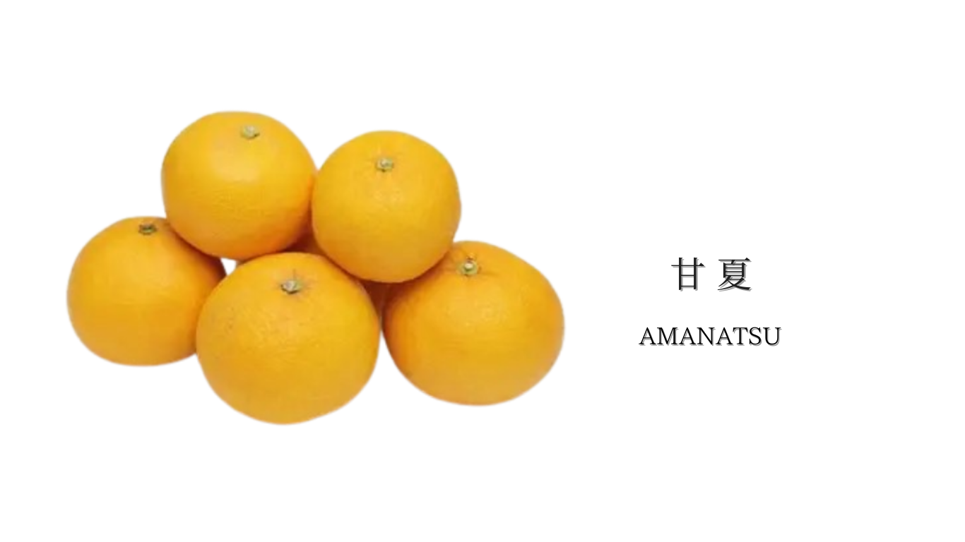 果物ナビ (10).png