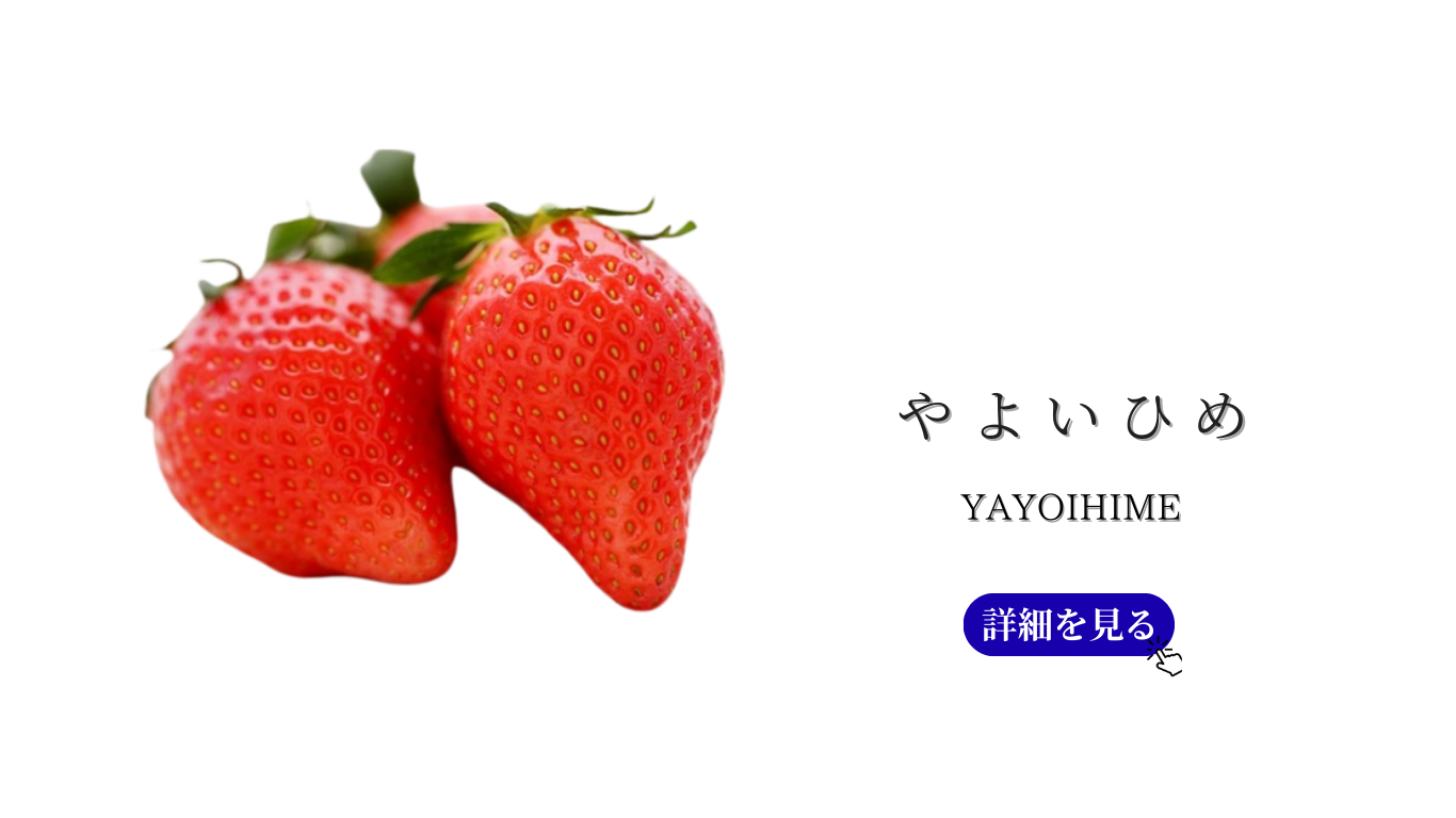 果物ナビ (22).png