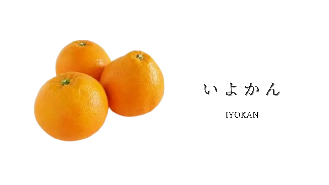 果物ナビ (25).png