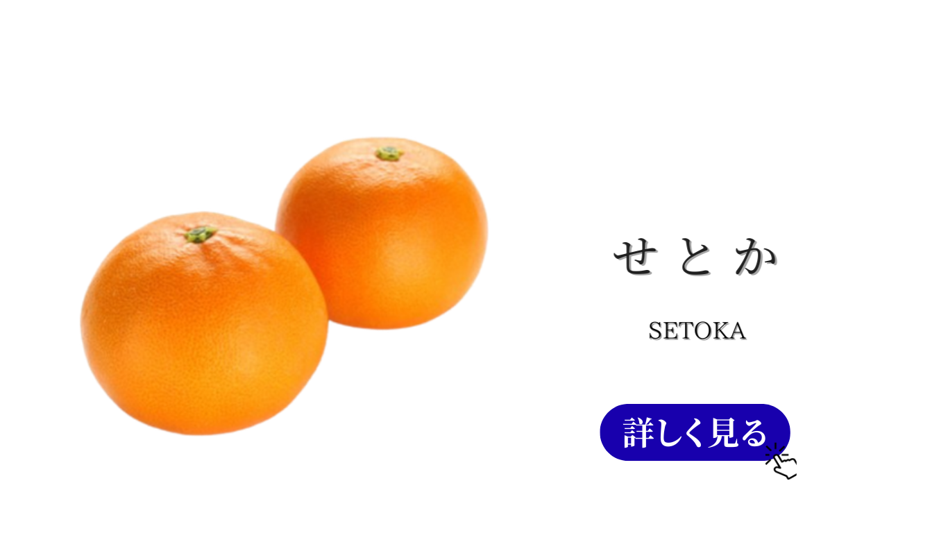 果物ナビ (28).png