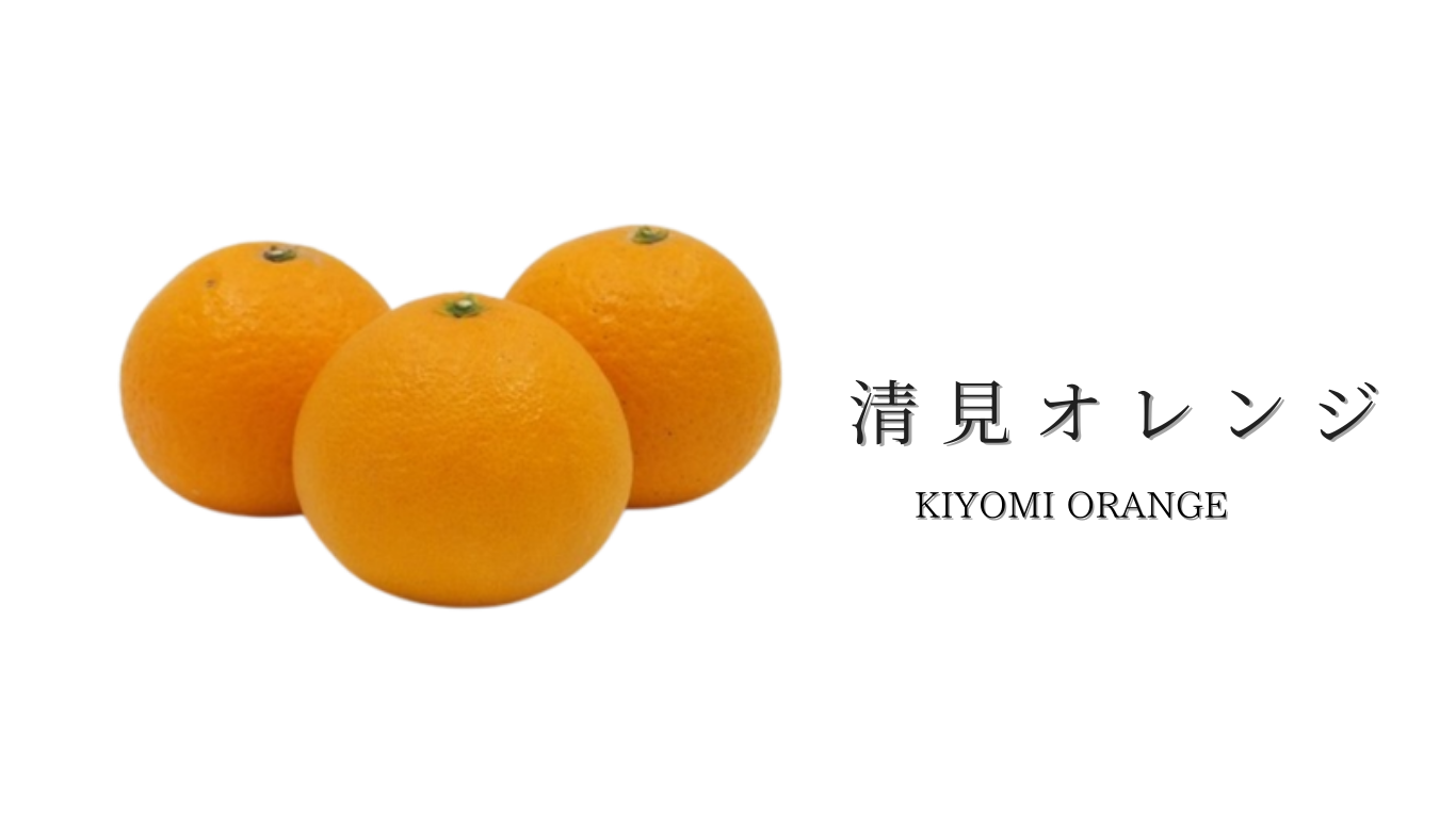 清見オレンジ